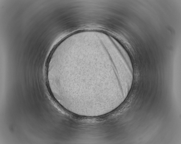 X0000111040990200908061453