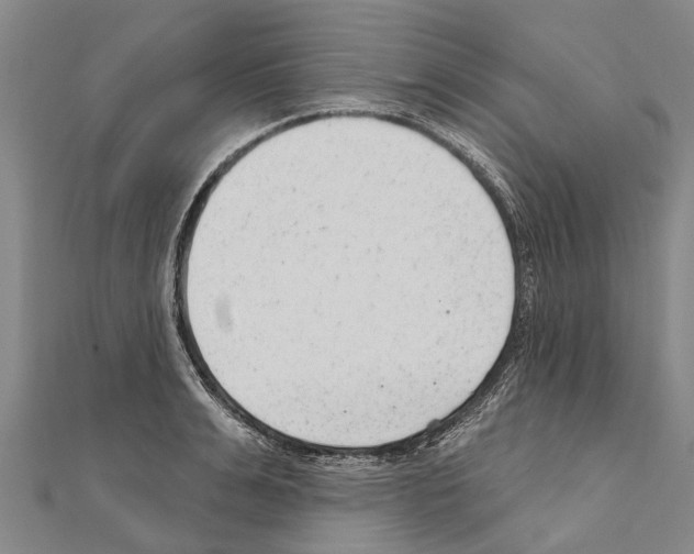 X0000111040991200908061453