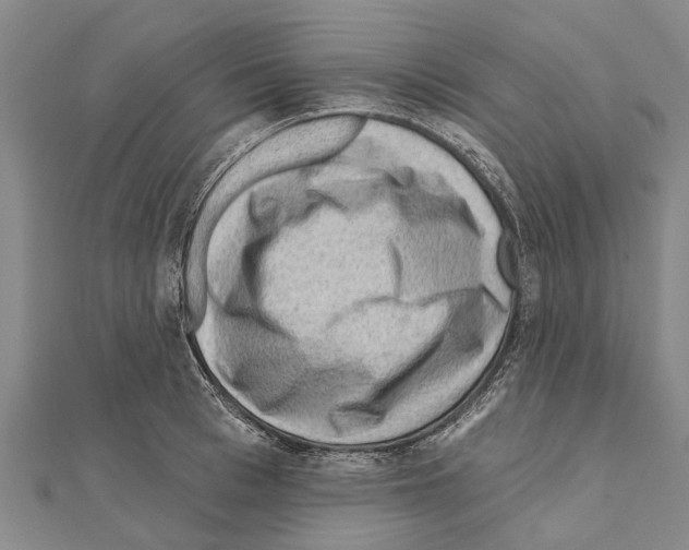 X0000111040993200908061453