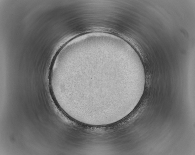 X0000111040995200908061453