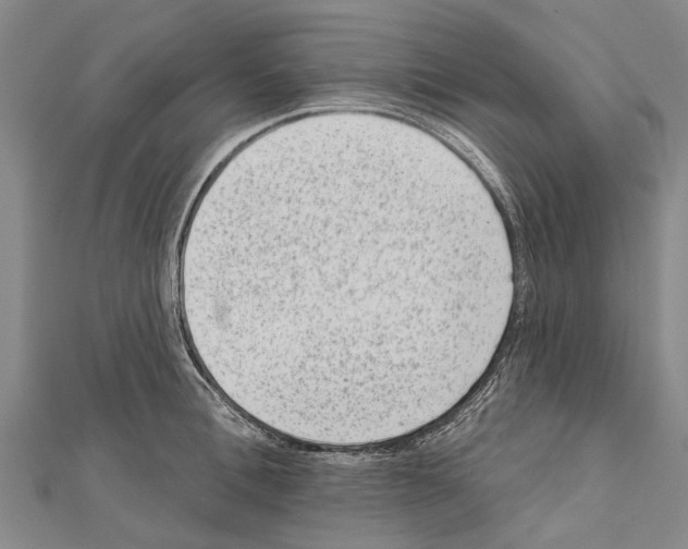 X0000111040996200908061453