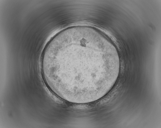 X0000111040998200908061453