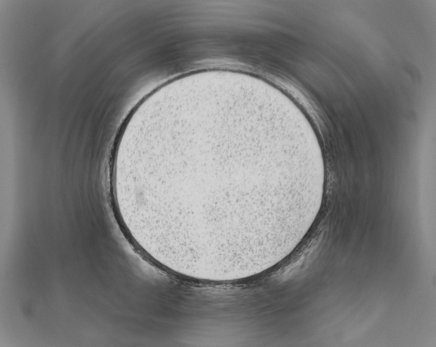 X0000111040999200908061453