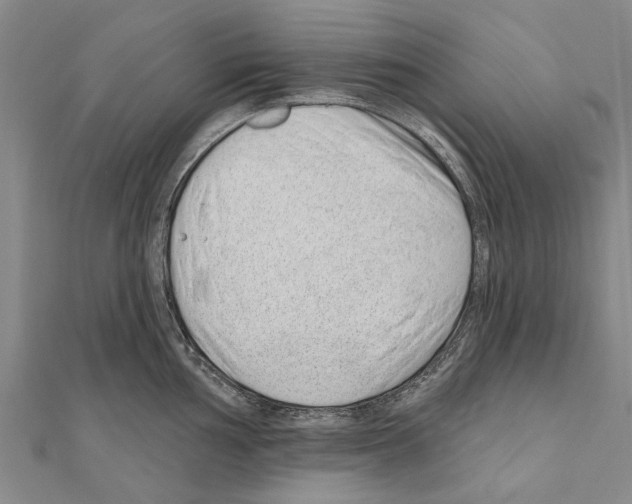 X0000111041002200908061453