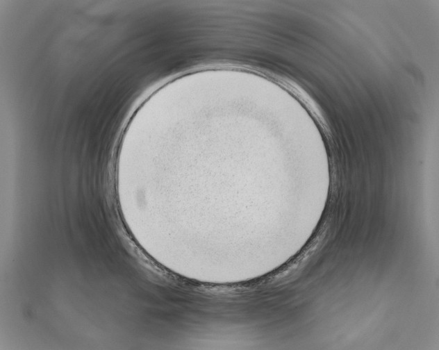 X0000111041004200908061453