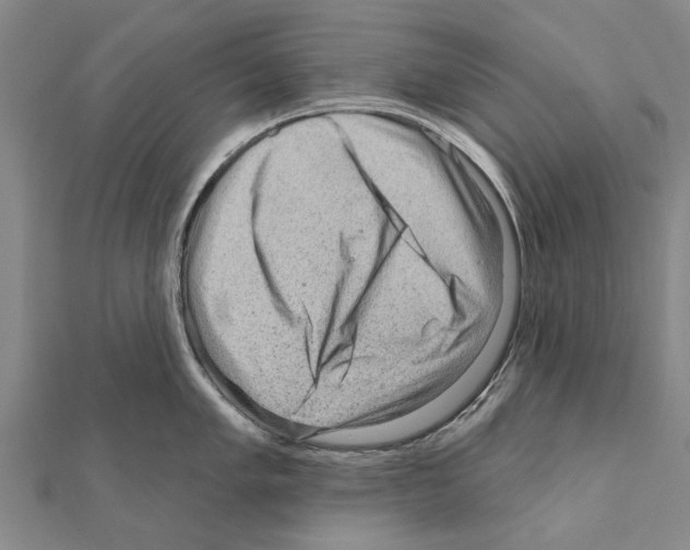 X0000111041005200908061453