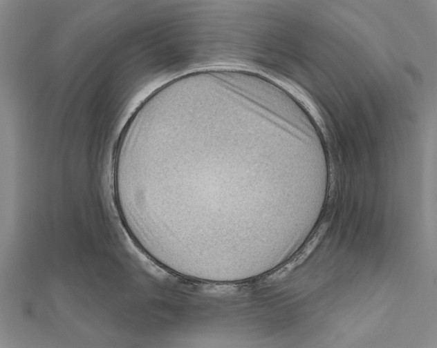 X0000111041006200908061453