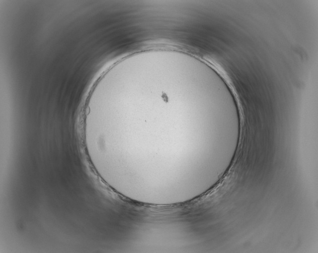 X0000111041008200908061453