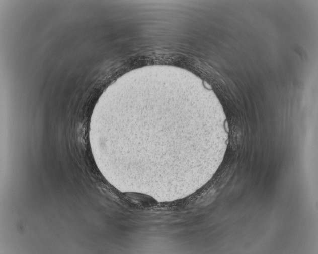 X0000111041010200908061452