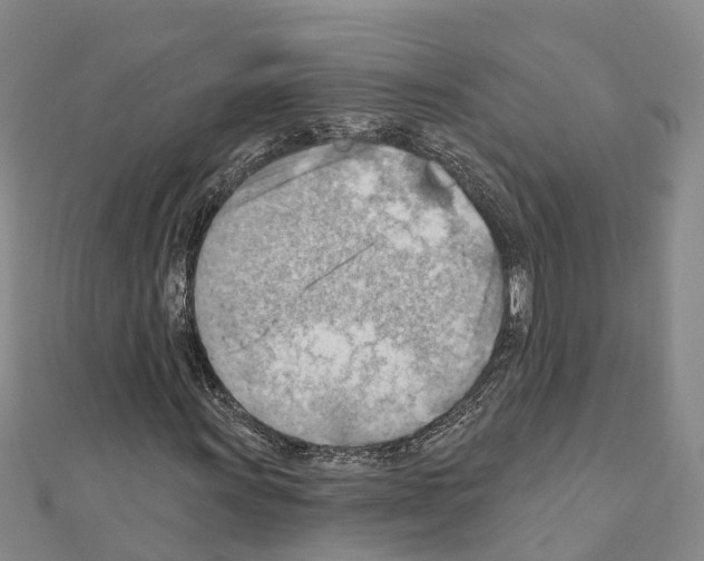 X0000111041011200908061452