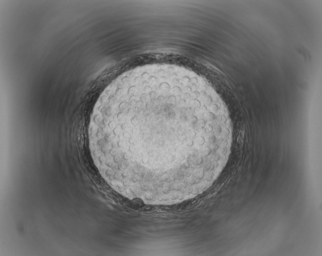 X0000111041014200908061452