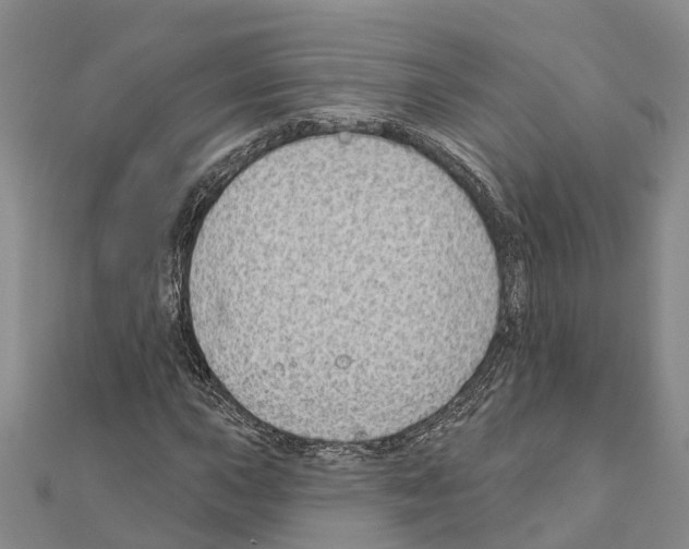 X0000111041015200908061452