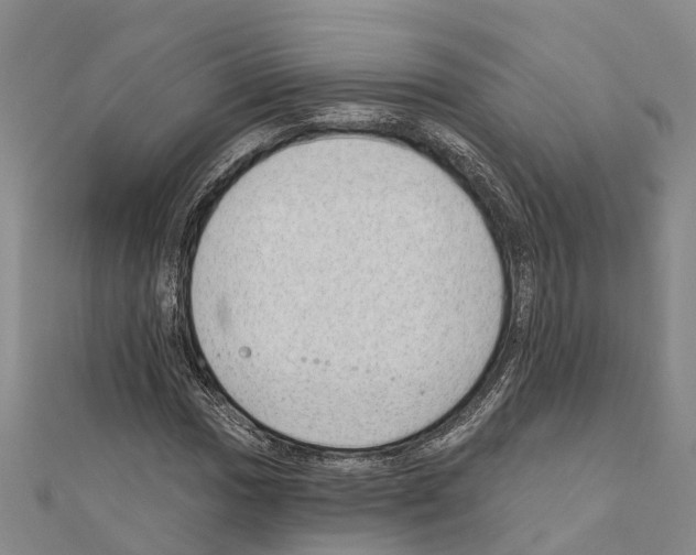 X0000111041017200908061452