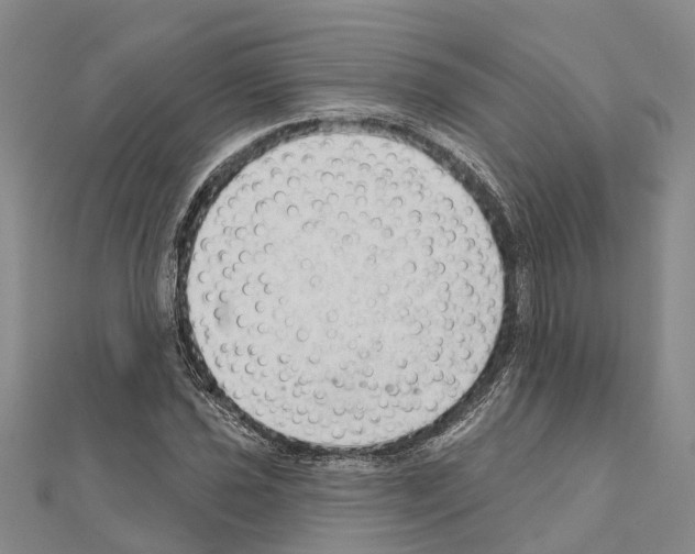 X0000111041021200908061452