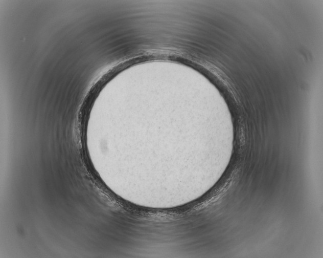 X0000111041022200908061452