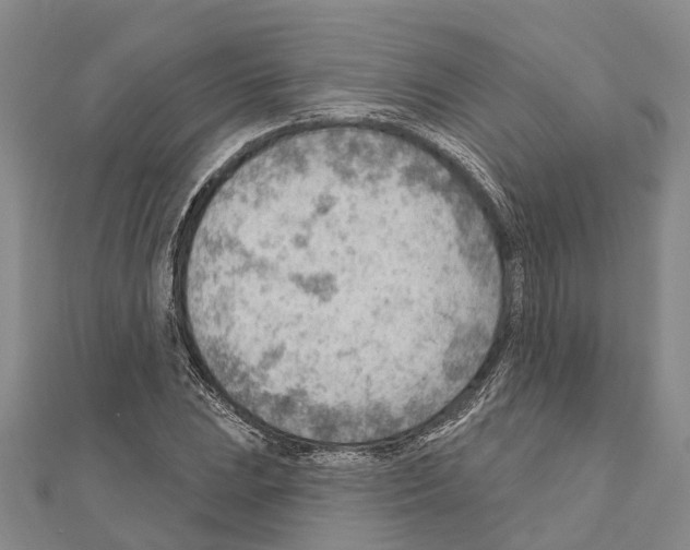 X0000111041023200908061452