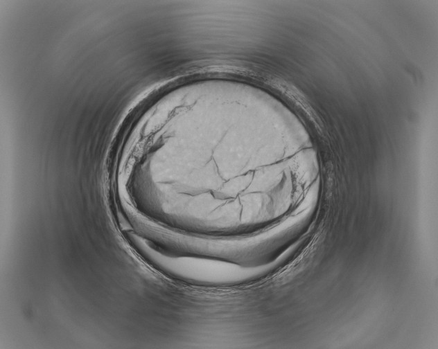 X0000111041024200908061452