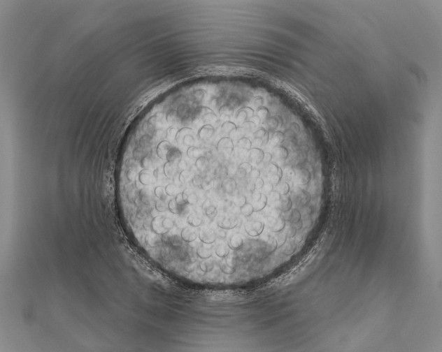 X0000111041025200908061452