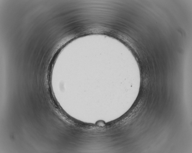 X0000111041026200908061452