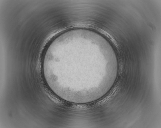 X0000111041027200908061452