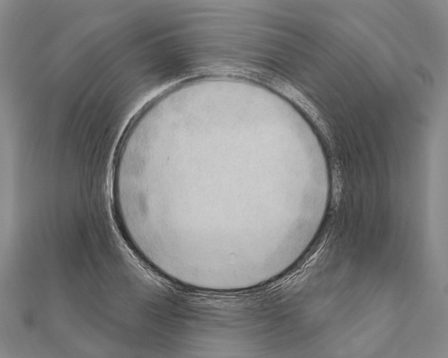 X0000111041028200908061452