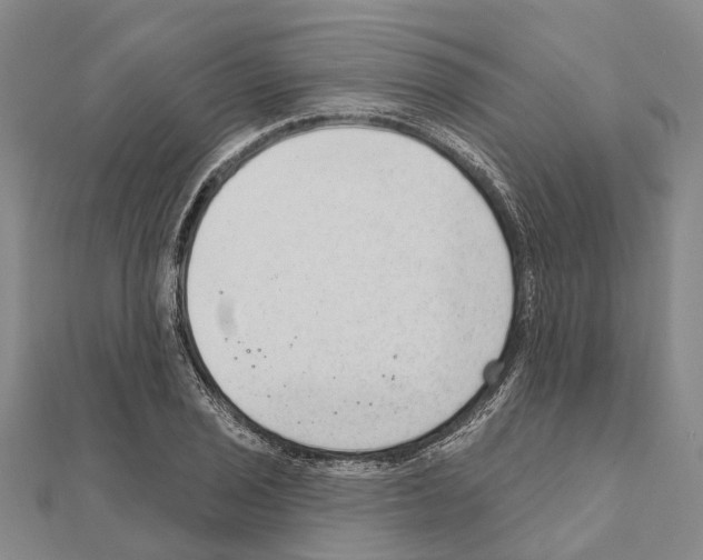 X0000111041029200908061452