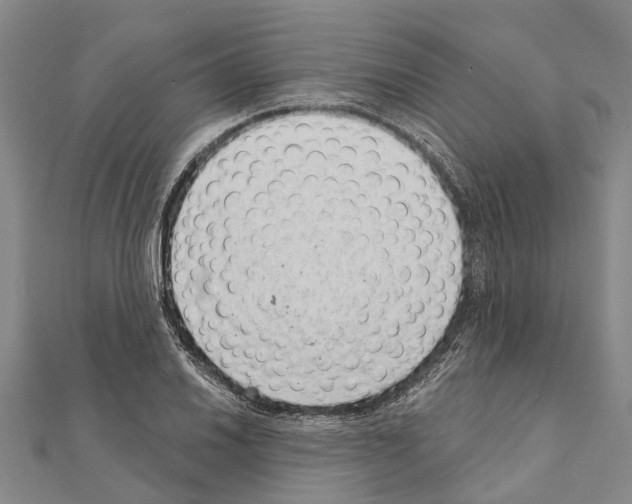 X0000111041030200908061452