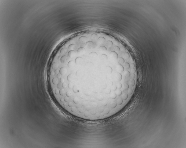 X0000111041032200908061452