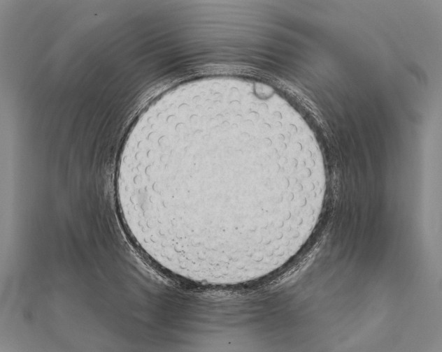 X0000111041033200908061452