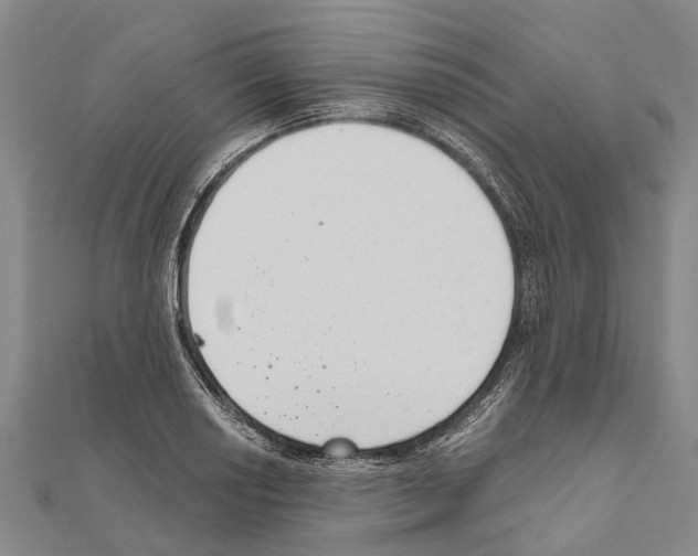 X0000111041034200908061452