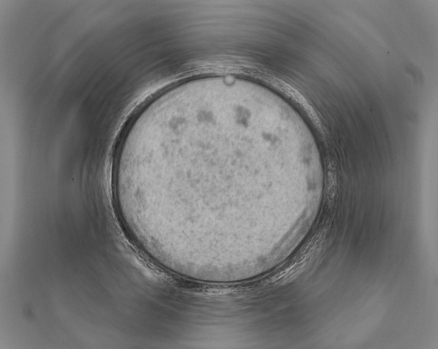 X0000111041035200908061452