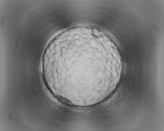 X0000111041036200908061452