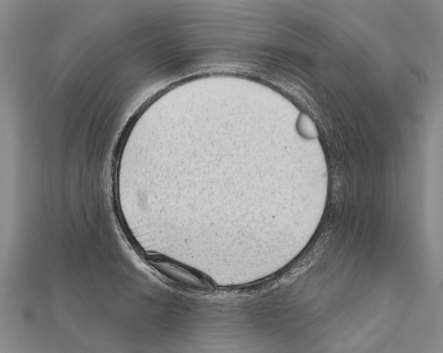 X0000111041038200908061452