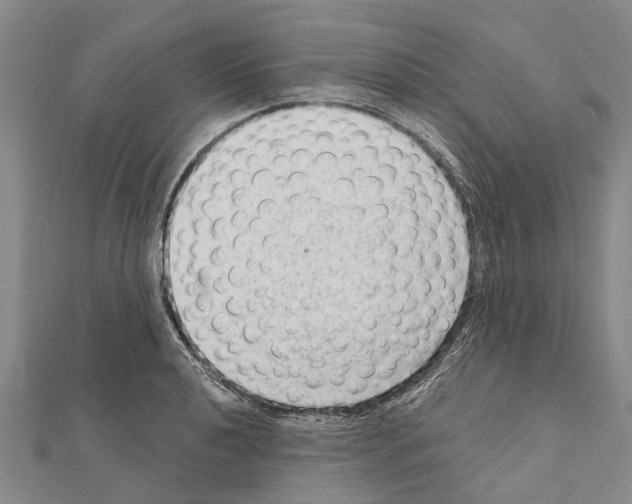 X0000111041040200908061453