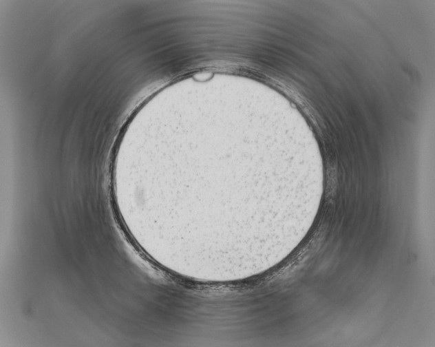 X0000111041042200908061453