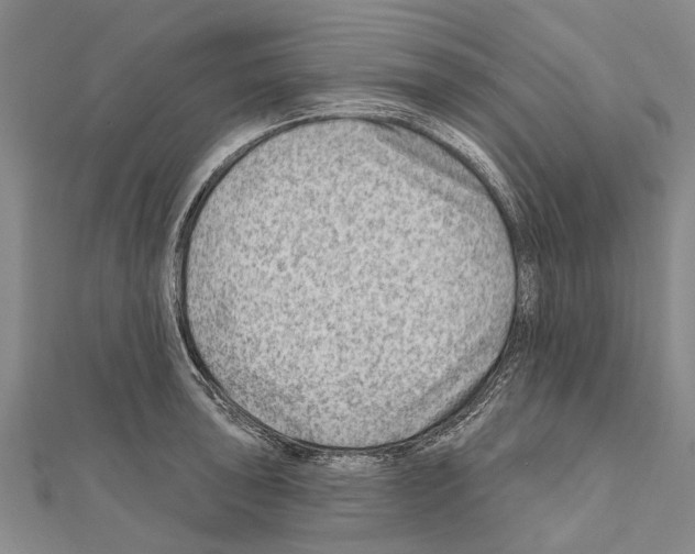 X0000111041043200908061453