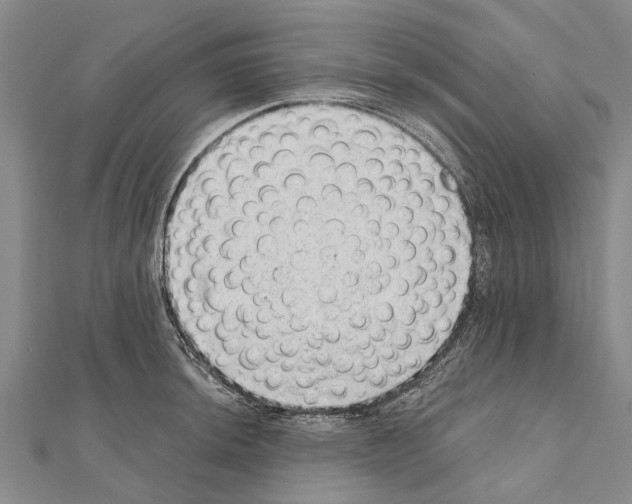 X0000111041044200908061453