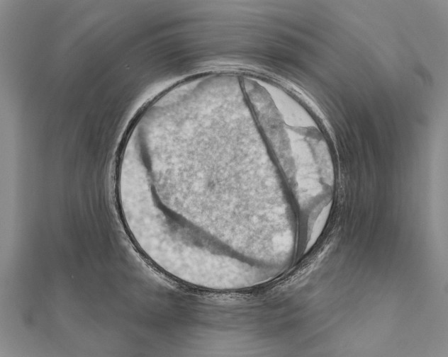 X0000111041045200908061453