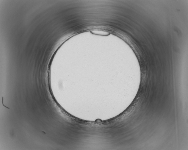 X0000111041050200908061453