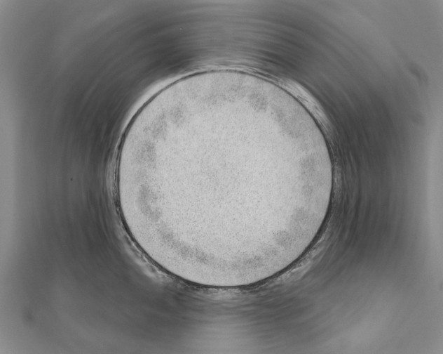 X0000111041052200908061453