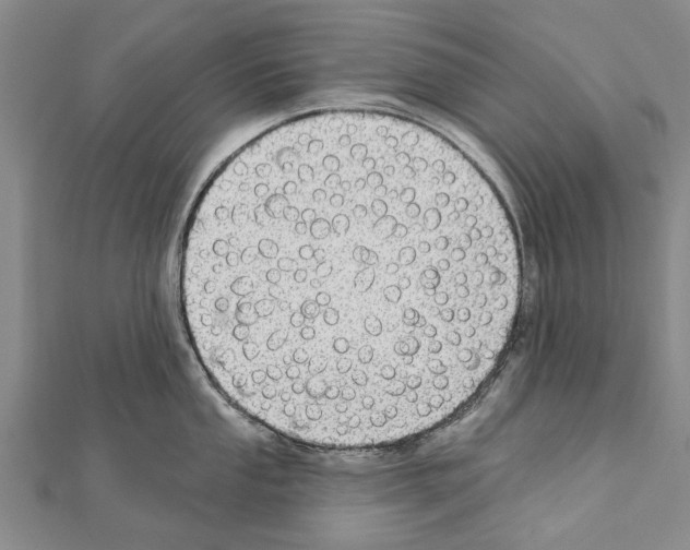 X0000111041053200908061453