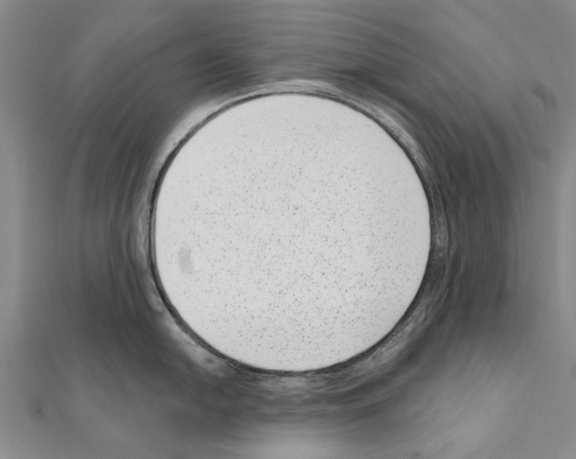 X0000111041054200908061453