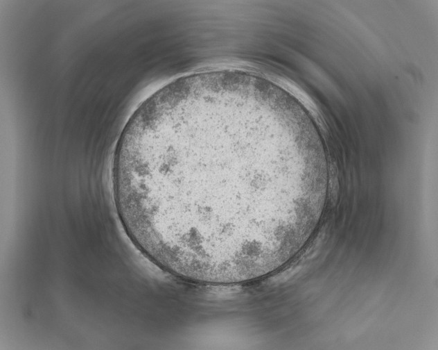 X0000111041055200908061453