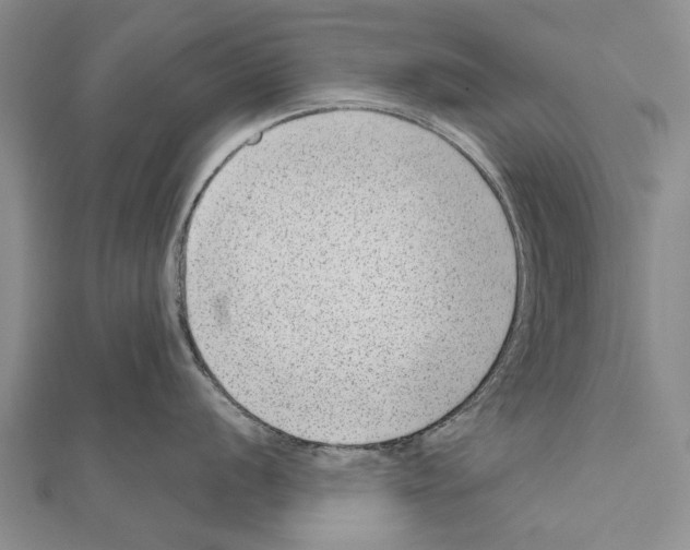 X0000111041056200908061453