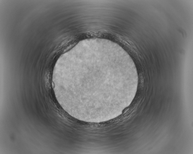 X0000111041060200908061452