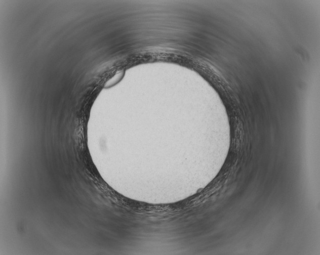 X0000111041062200908061452