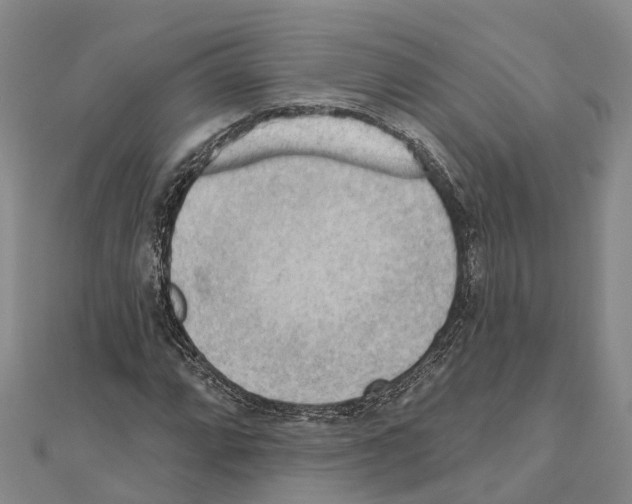 X0000111041064200908061452