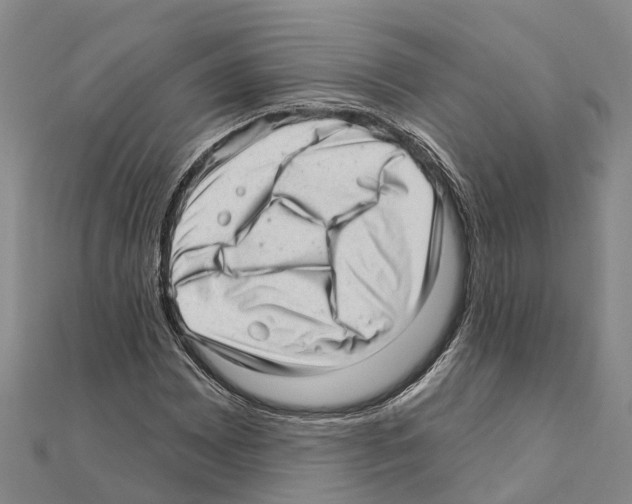 X0000111041065200908061452