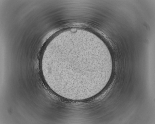 X0000111041066200908061452