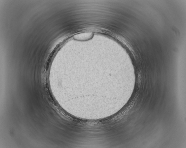 X0000111041067200908061452